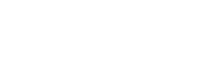 w_panasonic