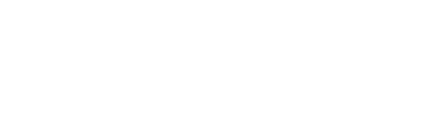 w_siemens